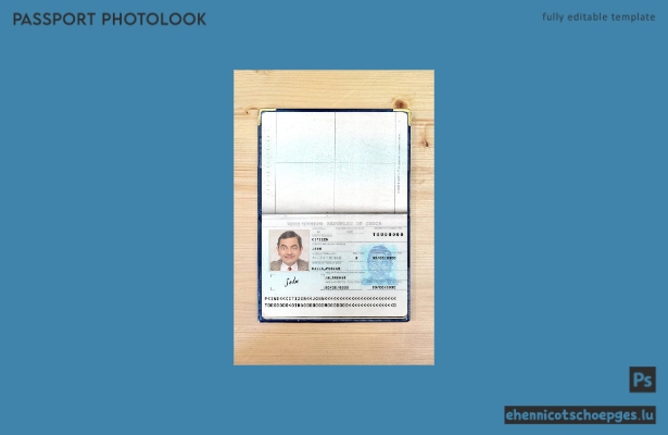 Indischer Reisepass, neue Version, 2 Seiten, Fotoansicht, 1 Beispielvorschau